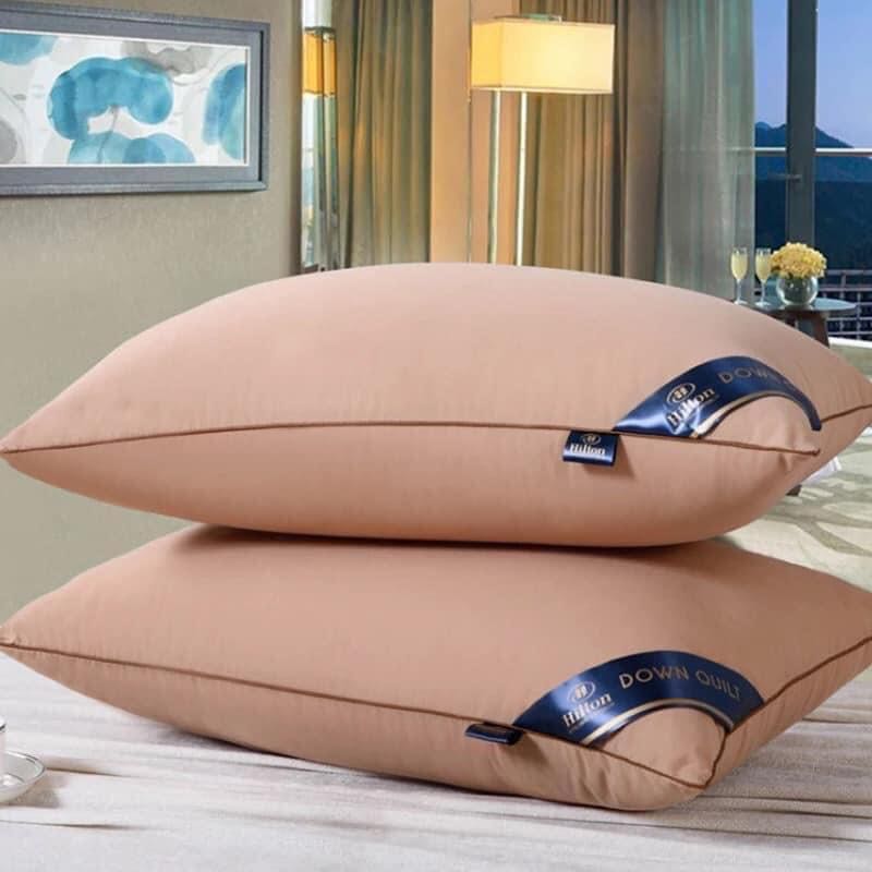 Ruột gối đầu khách sạn cao cấp tiêu chuẩn 5 sao, Bộ ruột gối Hilton nhiều mầu Bắc Lãm Shop