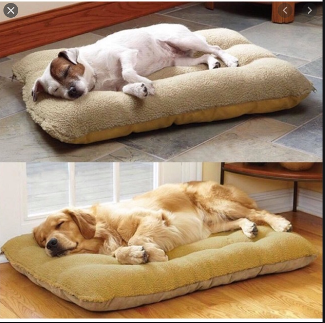 Nệm nằm cho chó mèo size 60x80cm màu ngẫu nhiên có khóa kéo