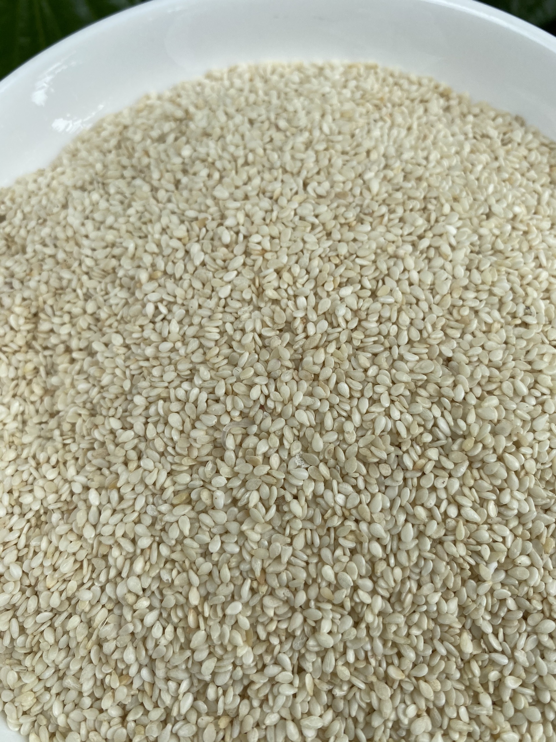 Mè trắng, mè đen túi 100g