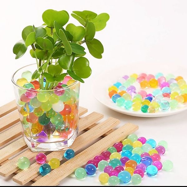 Hạt trồng cây thay đất