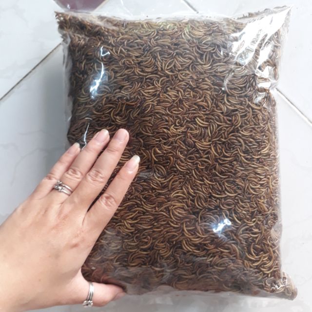 Thức ăn cho Hamster, Nhím kiểng, Sâu gạo rang, Sâu khô rang bịch 50gr