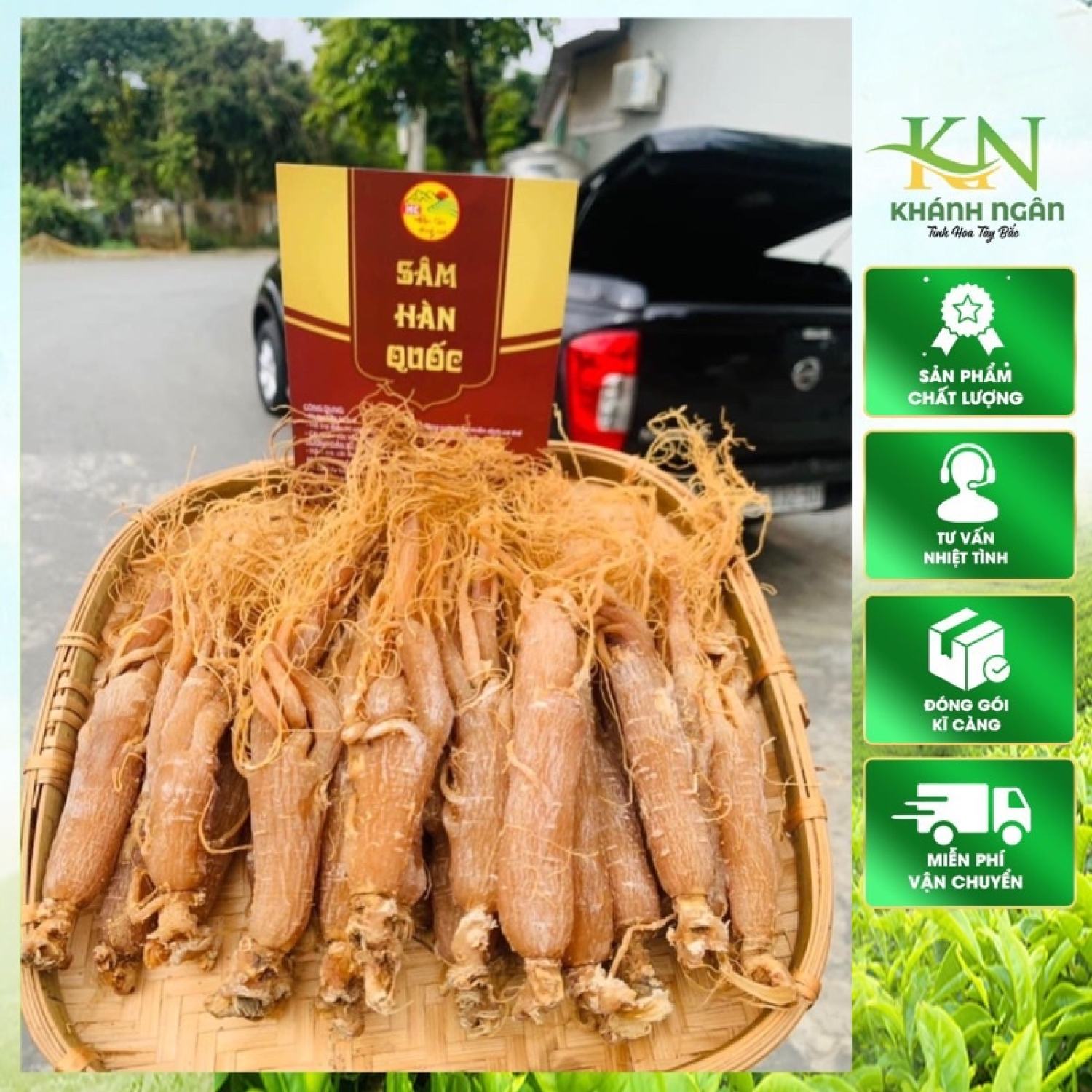 Hồng sâm Hàn Quốc sấy dẻo (Nhân sâm củ, sâm râu)cho bé, người lớn, người già bồi bổ sức khỏe từ nhân sâm nhiều năm tuổi