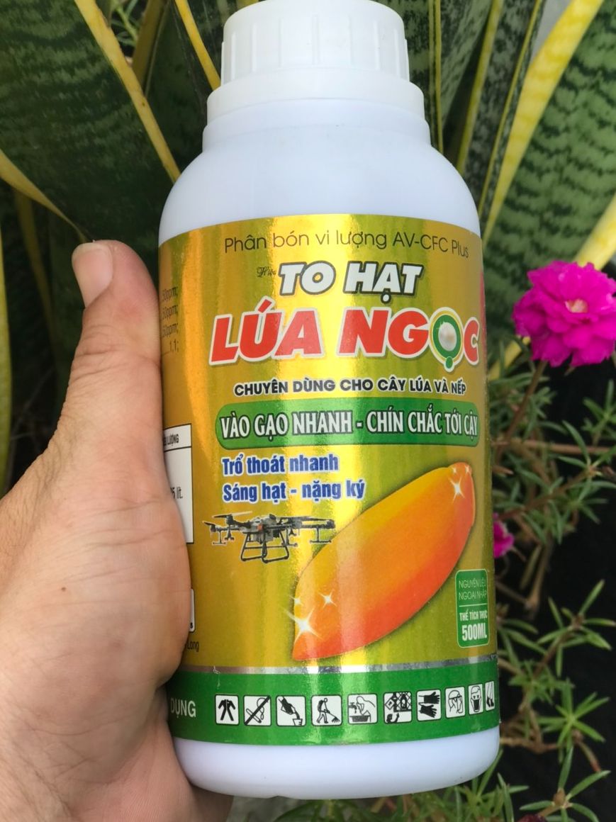 VÔ GẠO NHANH CHẮC TỚI CẬY CTY PHÚC AN ĐIỀN