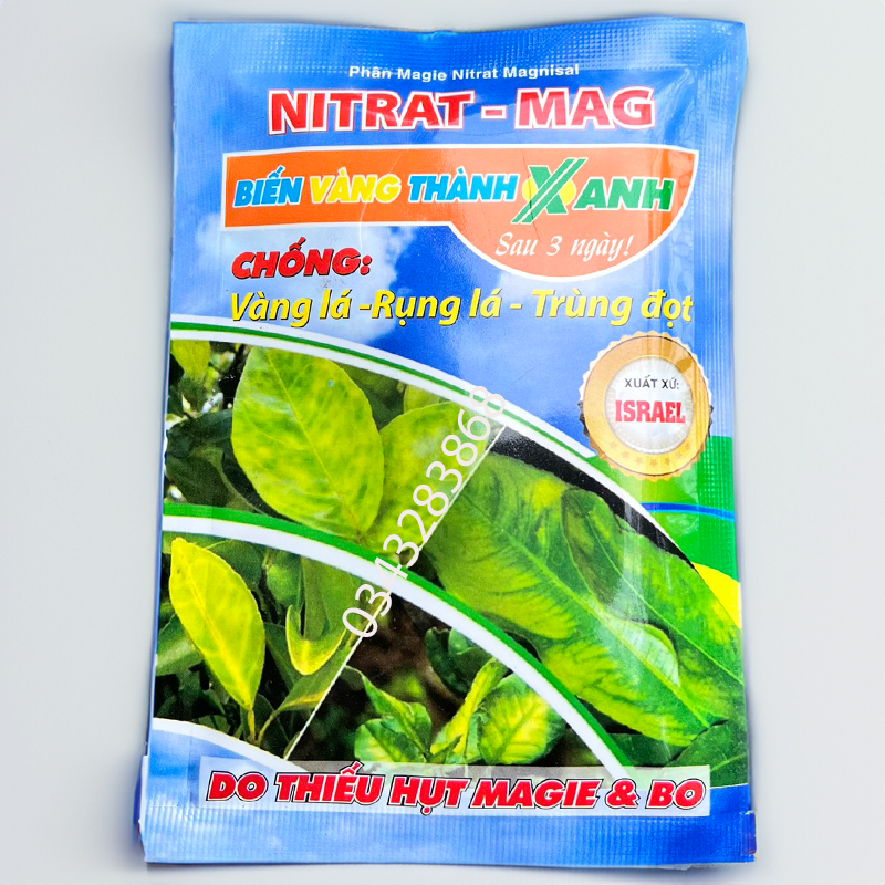 Phân bón biến vàng thành xanh ngừa vàng lá gân xanh rụng lá trùng đọt bung chồi xanh cây mập thân