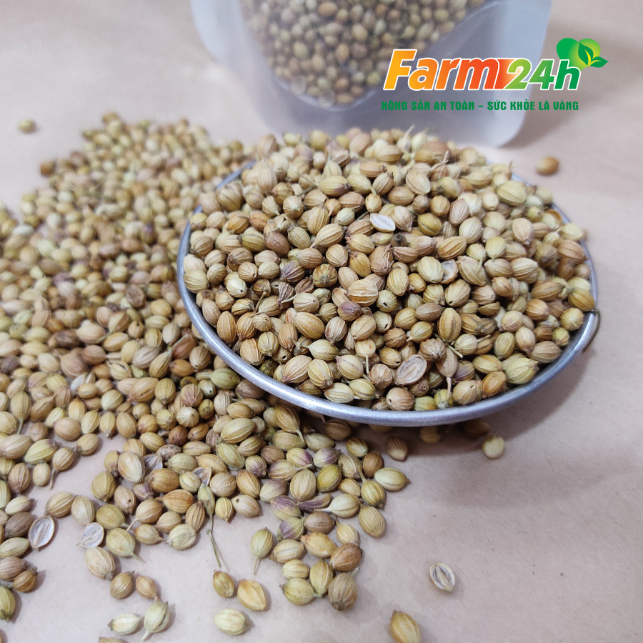 Hạt ngò hạt mùi khô gia vị dùng nấu sâm, nấu phở, 100% thiên nhiên | Farm24h
