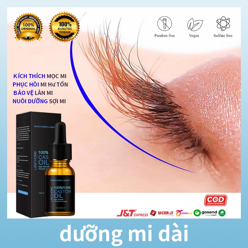 Dưỡng lông mi lanthome serum lông mi kích mọc râu lông mi tinh dầu dưỡng lông mi giúp mọc dài dày