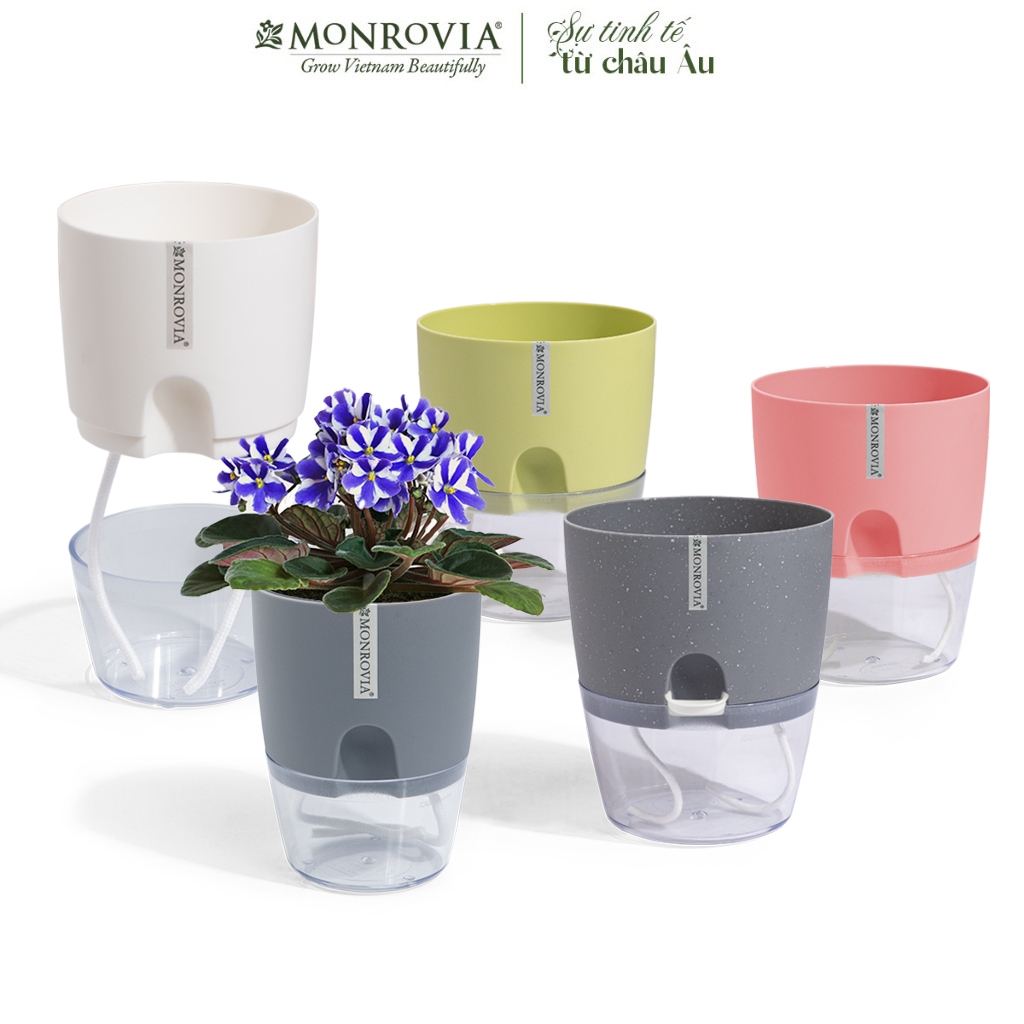 Chậu trồng cây tự tưới thông minh MONROVIA, cho hoa, cây cảnh, bonsai, để bàn, ban công Tiêu Chuẩn Châu Âu