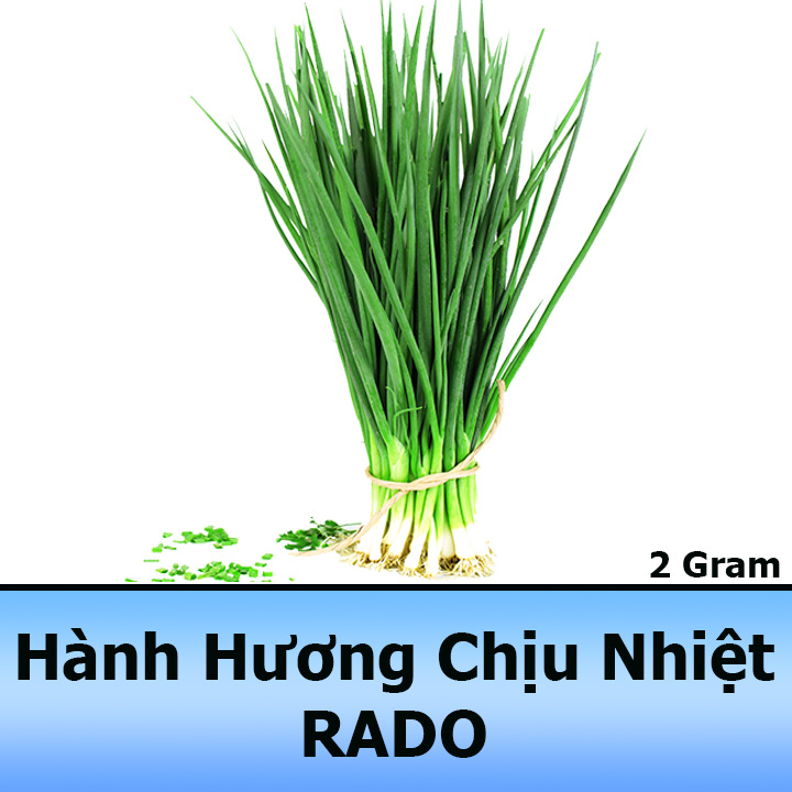 Hạt Giống Hành Hương Xanh F1 Chịu Nhiệt Tốt 2G