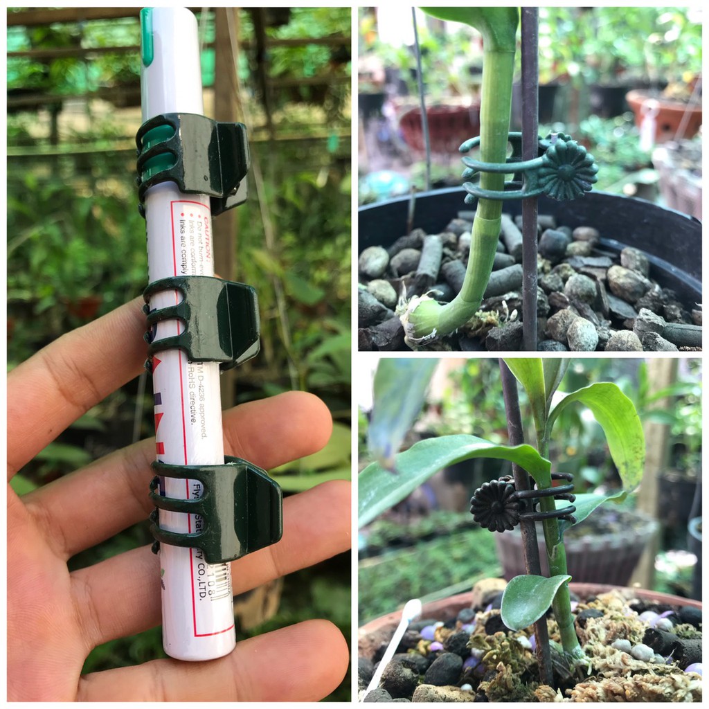 set 50 kẹp càng cua dùng cố định thân hoa lan cây cảnh
