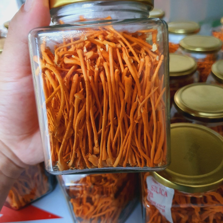 [FREE SHIP][36 gram khô] Đông Trùng Hạ Thảo Khô Sấy Thăng Hoa Minh Trường, loại tiêu chuẩn, bồi bổ cơ thể, tăng cường hệ miễn dịch, điều hòa huyết áp. hỗ trợ điều trị tiểu đường