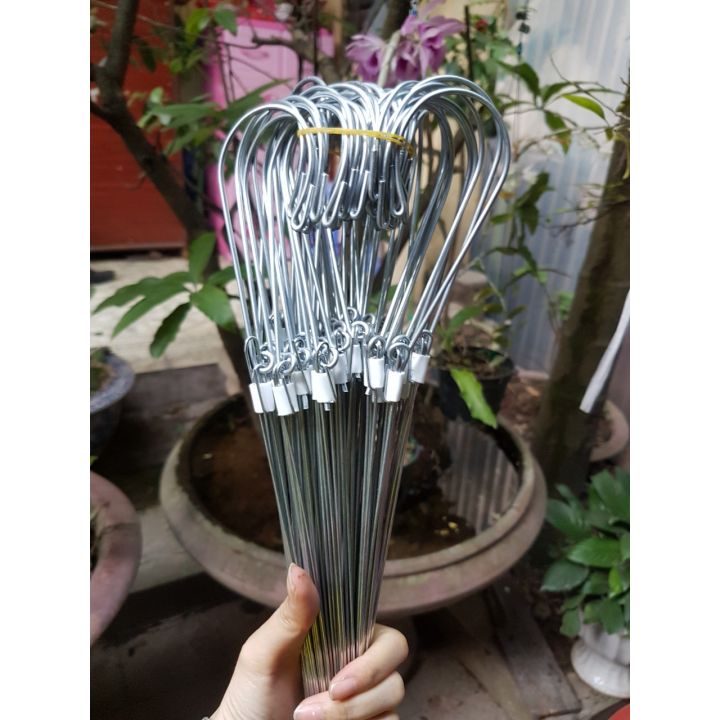 50 móc kẽm dài 80cm  treo lan siêu chắc chắn