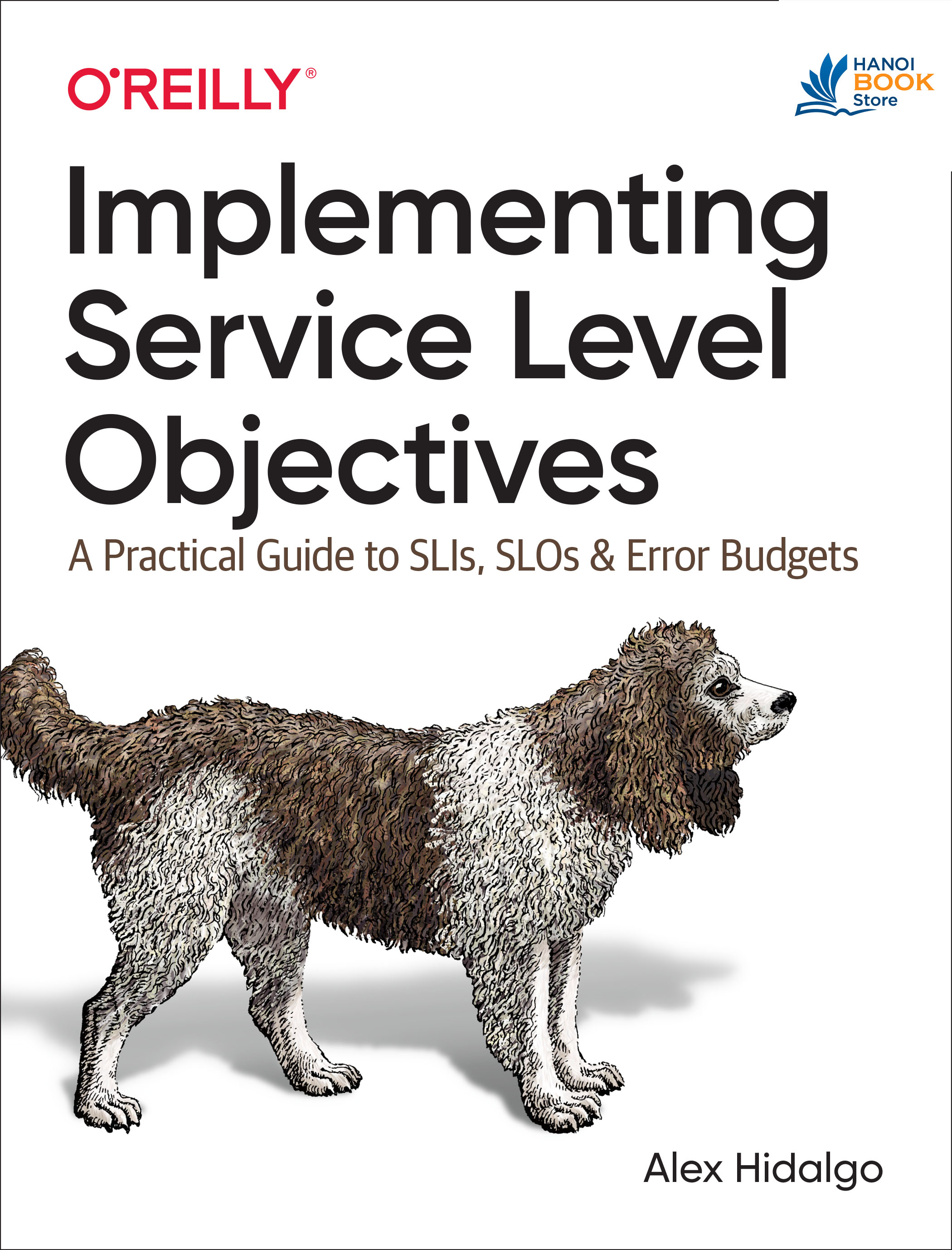 Sách Implementing Service Level Objectives A Practical Guide to SLIs, SLOs, and Error Budgets