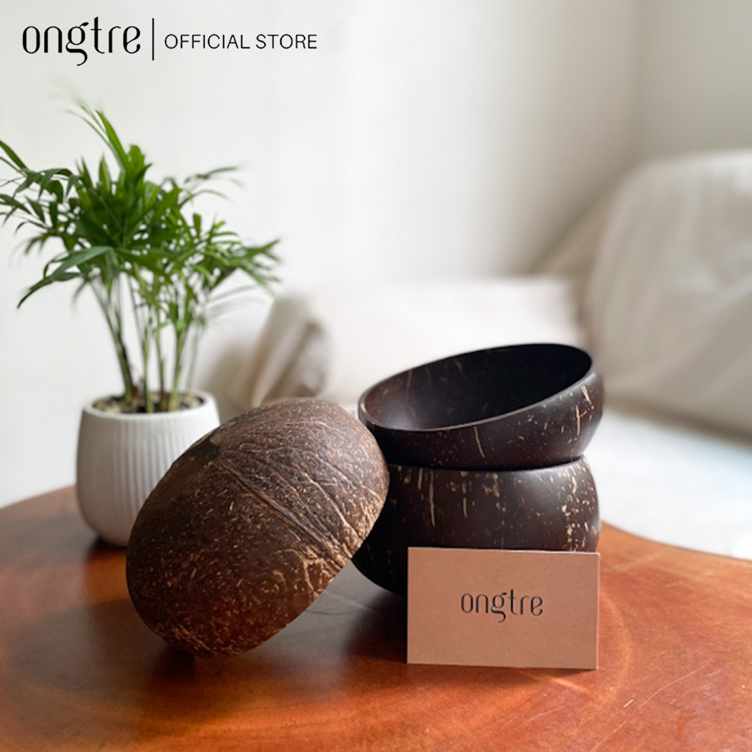 Bát gáo Dừa (Chén gáo dừa) cao cấp, ăn Salad, hoa quả dầm | ongtre® (Vietnam)