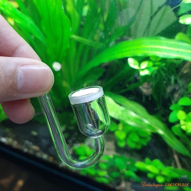 Cốc sủi co2 thuỷ tinh siêu mịn d=25mm - cốc sủi nano