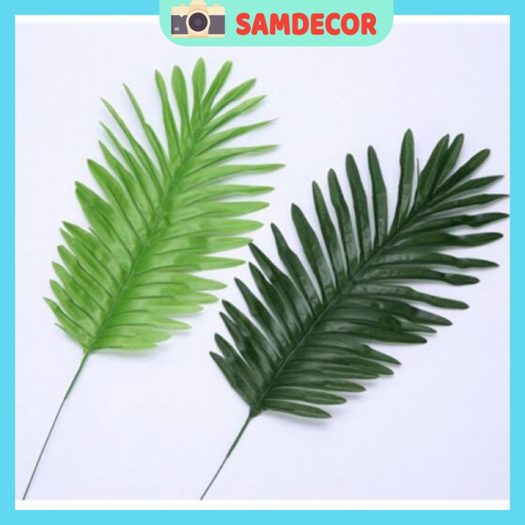 Lá dừa 2 màu nhạt và đậm dùng làm phụ kiện chụp ảnh