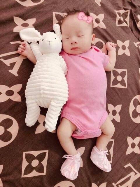 Gấu bông cừu cao cấp cho bé siêu yêu(size 40cm)
