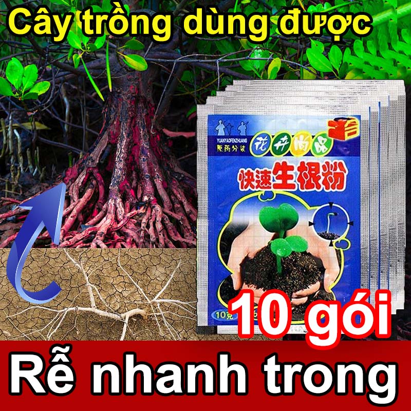🌿Rễ nhanh trong 🌿thuốc kích rễ humic rễ humic kích rễ phân humic hữu cơ Dễ tan trong nước, hấp thụ tốt, hiệu quả nhanh chóng phân bón kích rễ bột kích rễ rooting kích rễ An toàn không độc hại
