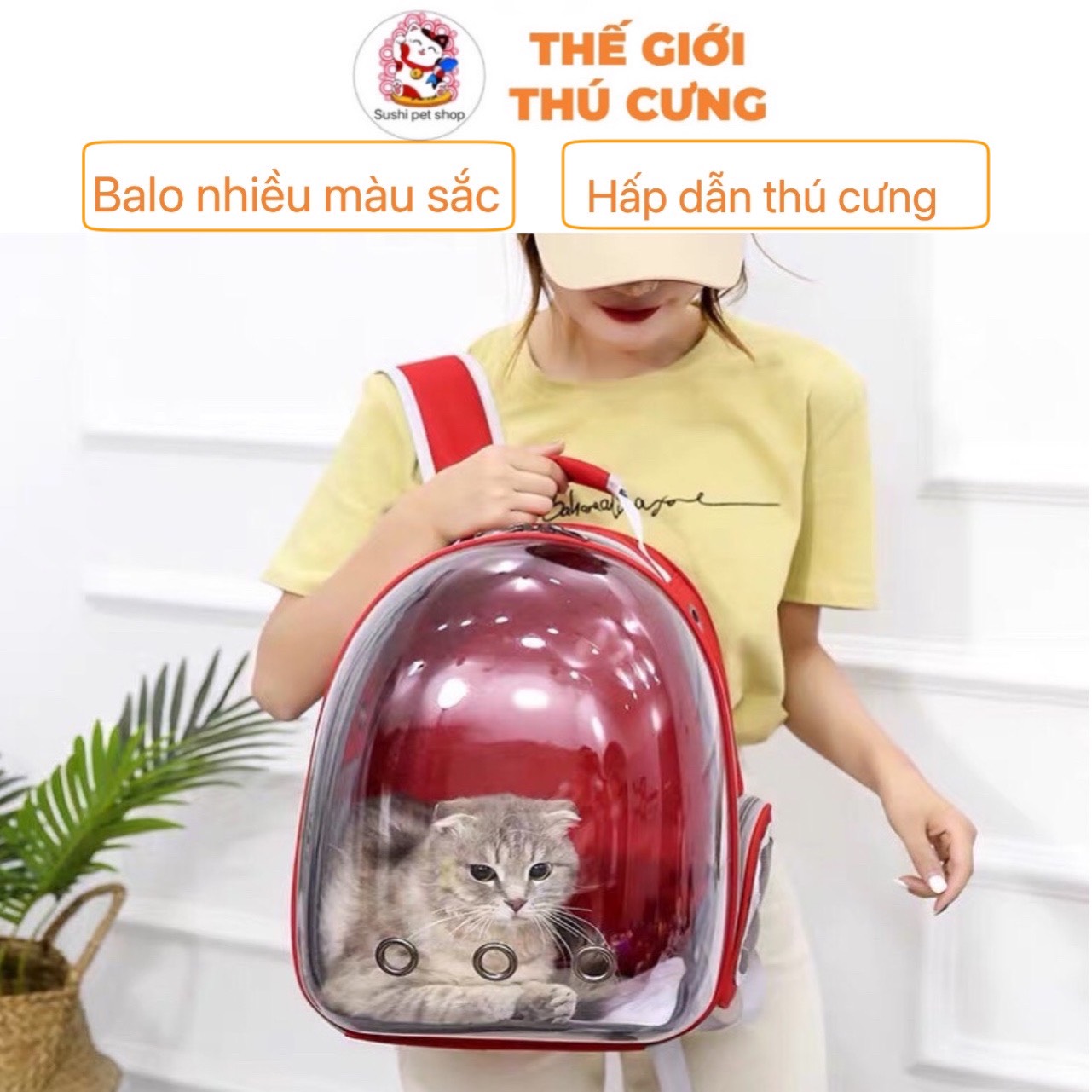 Balo phi hành gia trong suốt vận chuyển chó mèo