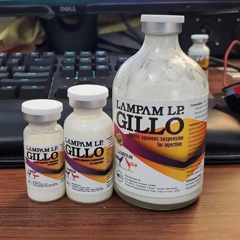 Gillo lampam lọ chiết 10ml