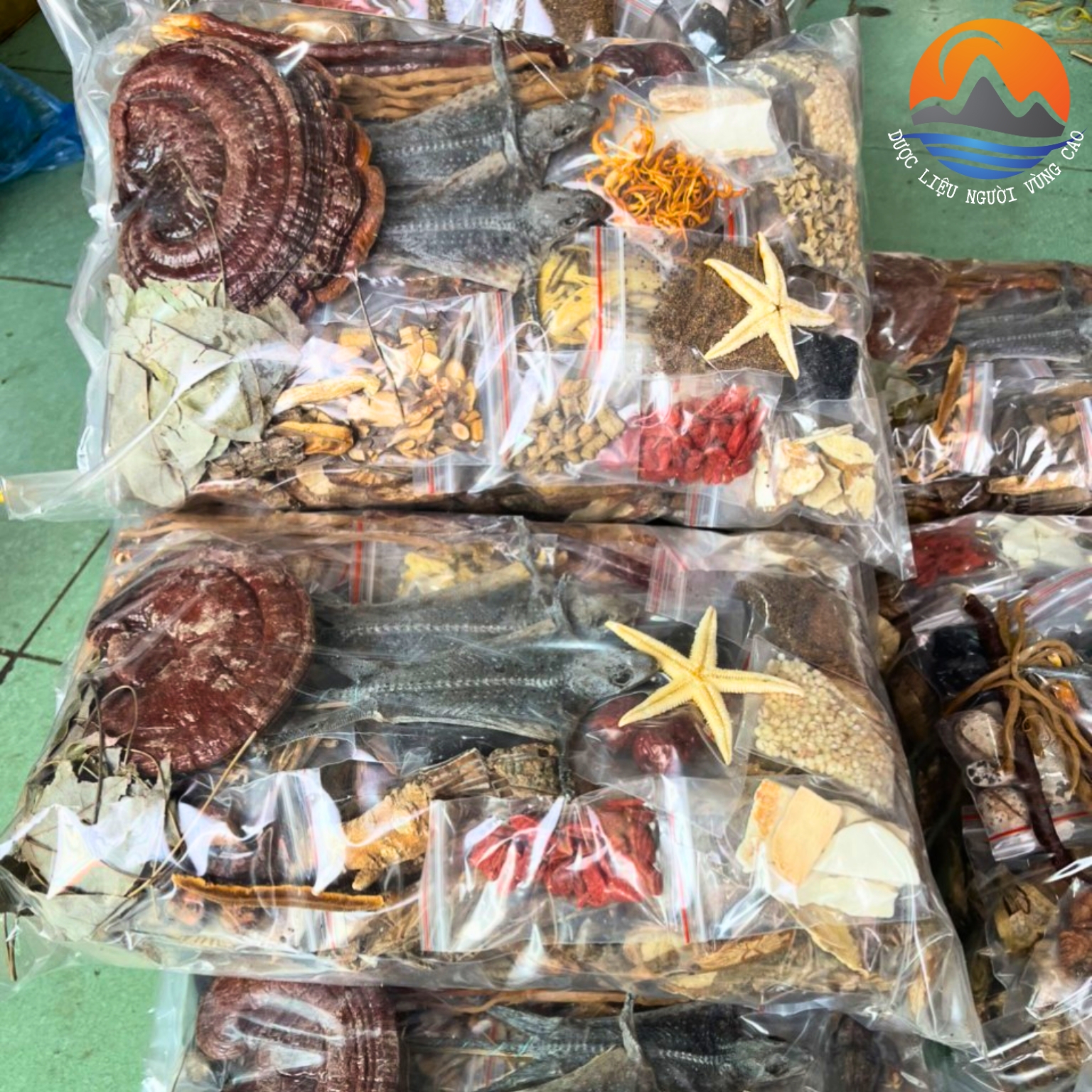 Minh Mạng Thang 35 vị đặc biệt có 2 tắc kè. Đồ ngâm rượu thuốc giúp bổ thận tráng dương, tăng cường 