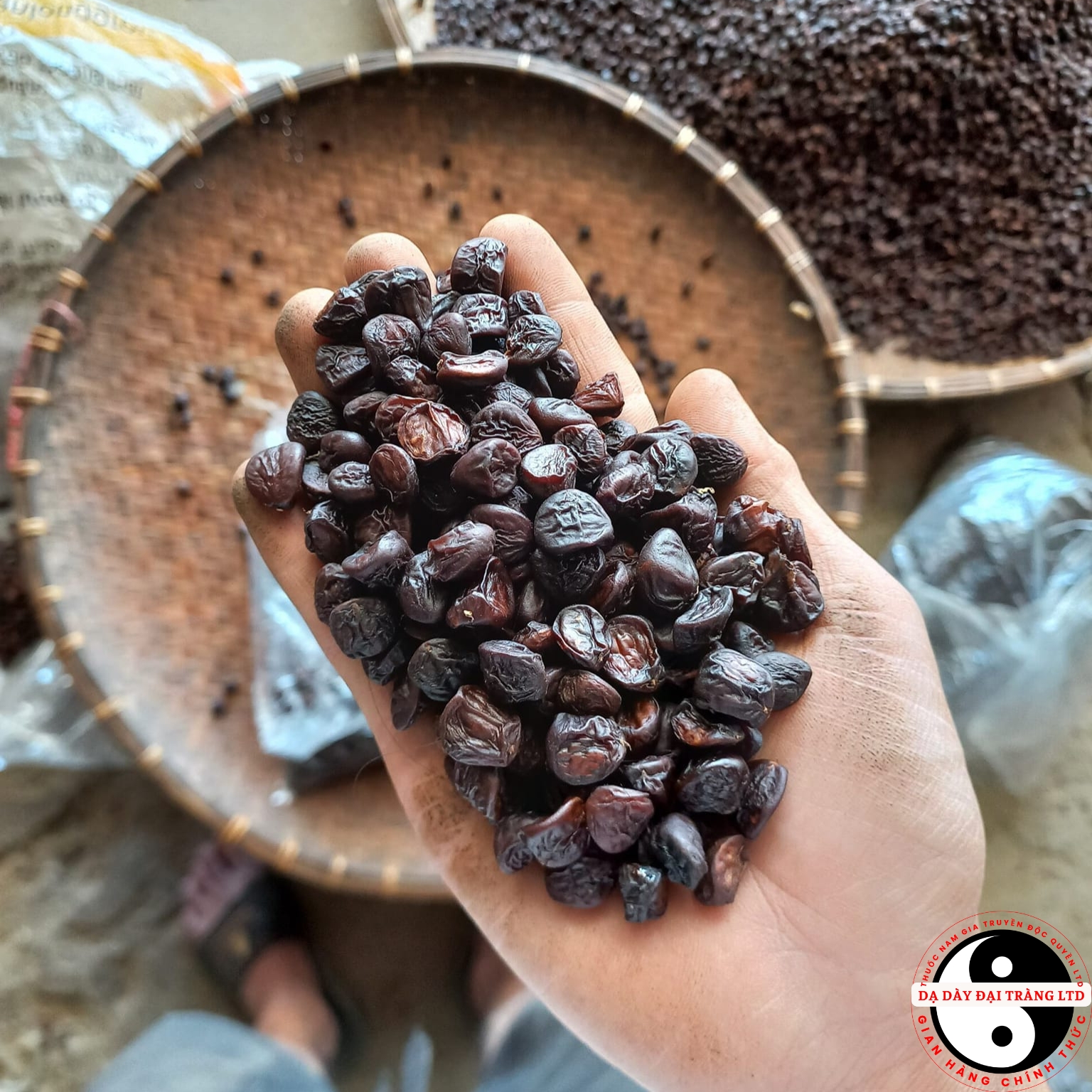 Hạt dổi nếp rừng cổ thụ Tây Bắc loại 1 . Gia vị mắc khén hạt dổi, hạt dỗi, hạt rổi