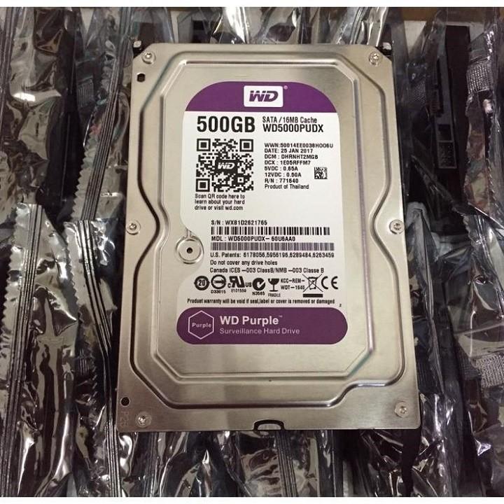 [HCM]Ổ Cứng Western 500Gb Purple