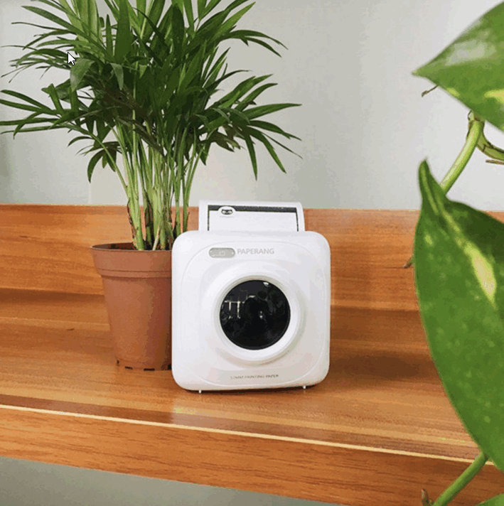 Printer PAPERANG P1 Mini Bluetooth 4.0