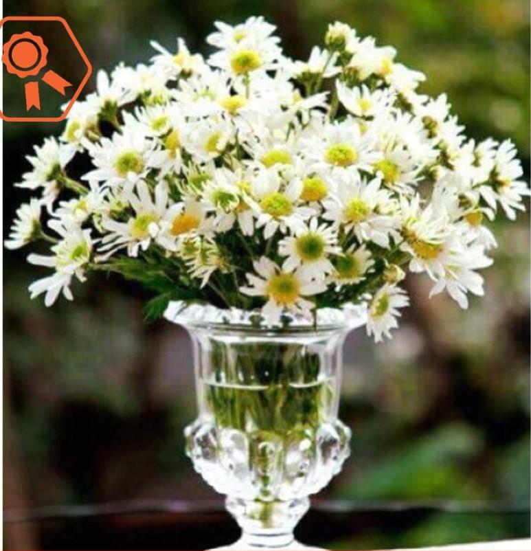 Ly đựng quả phật thủ, cắm hoa trang trí