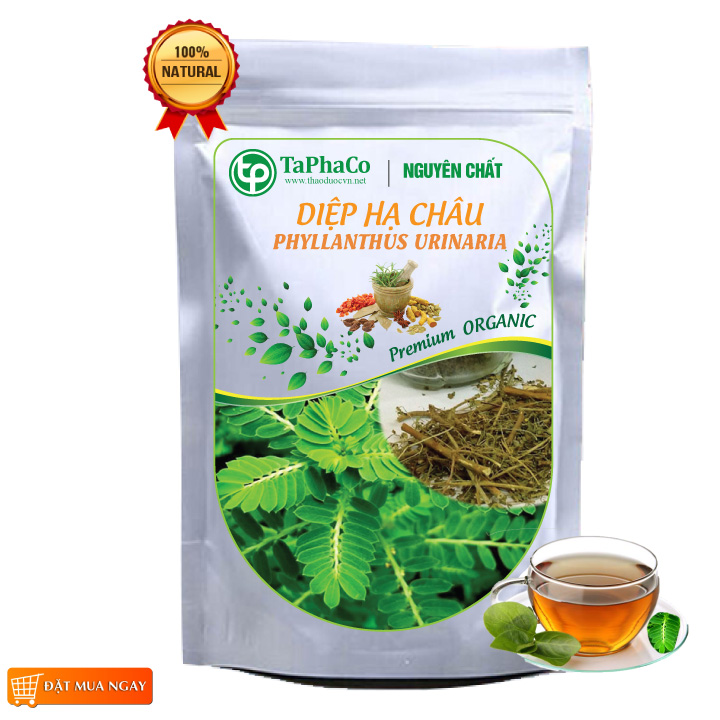 Diệp hạ châu sấy khô 500g - tấn phát