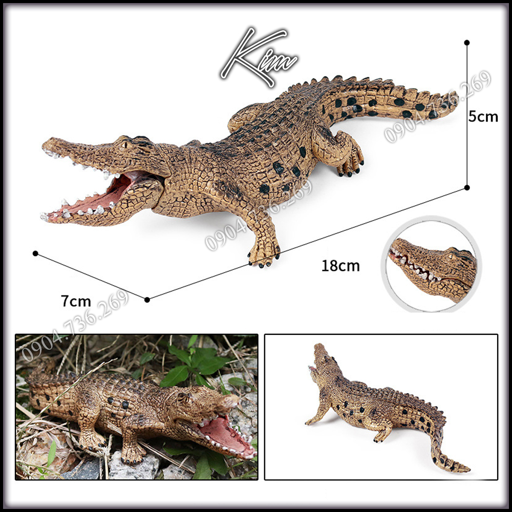 Mô hình động vật Cá sấu nước mặn đồ chơi Montessori