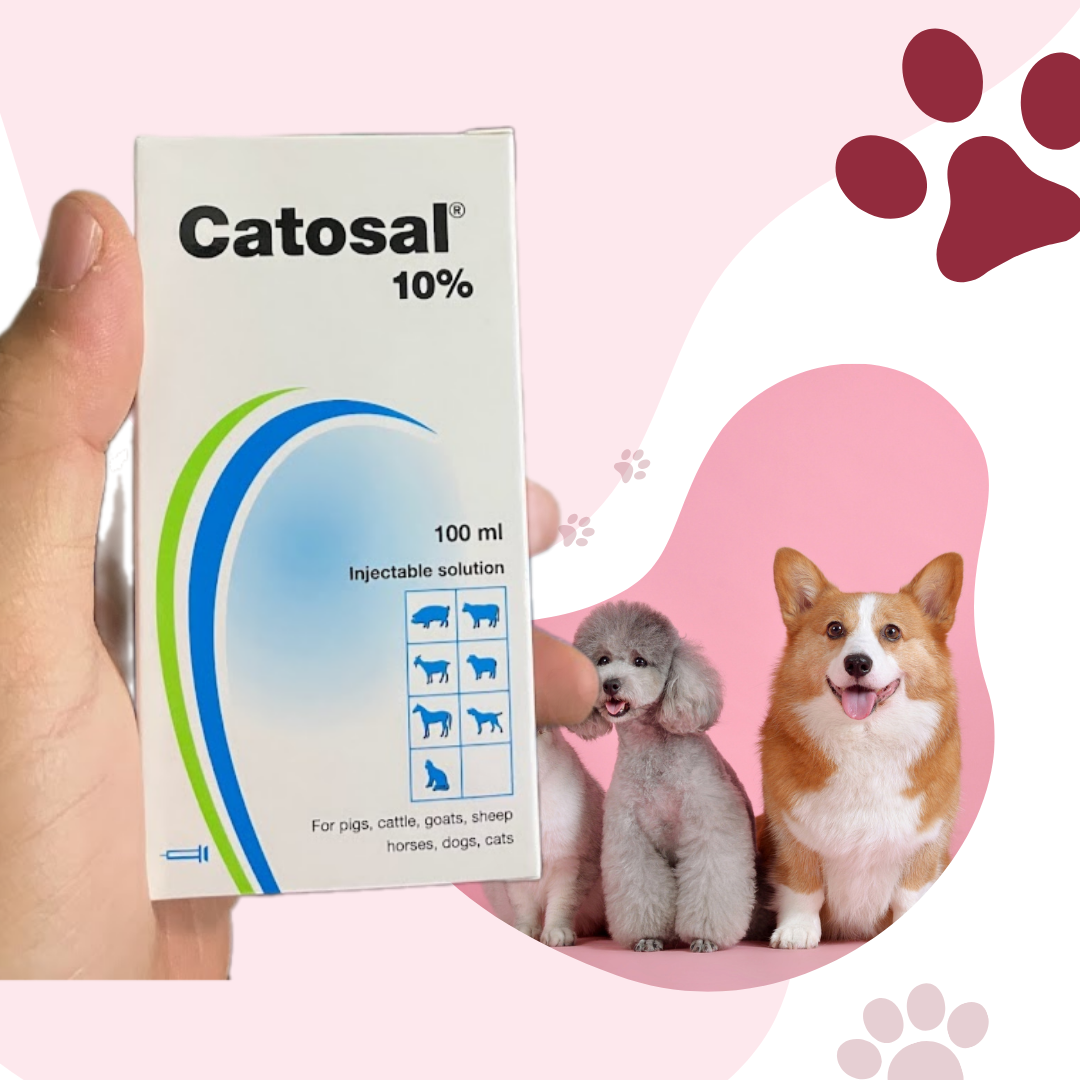 Catosal thuốc bổ cho gà đá, chính hãng elanco thái lan