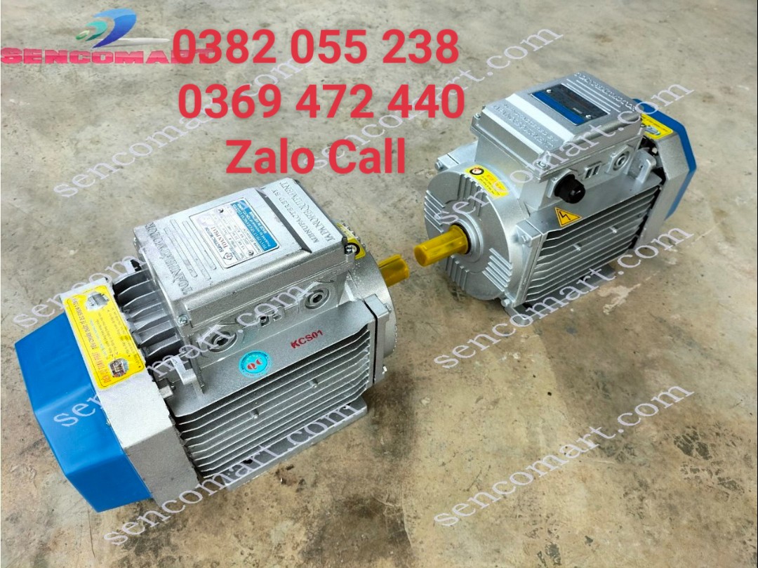 Động cơ mô tơ điện 1 pha 3hp tua nhanh 2900v/p chính hãng Toàn Phát