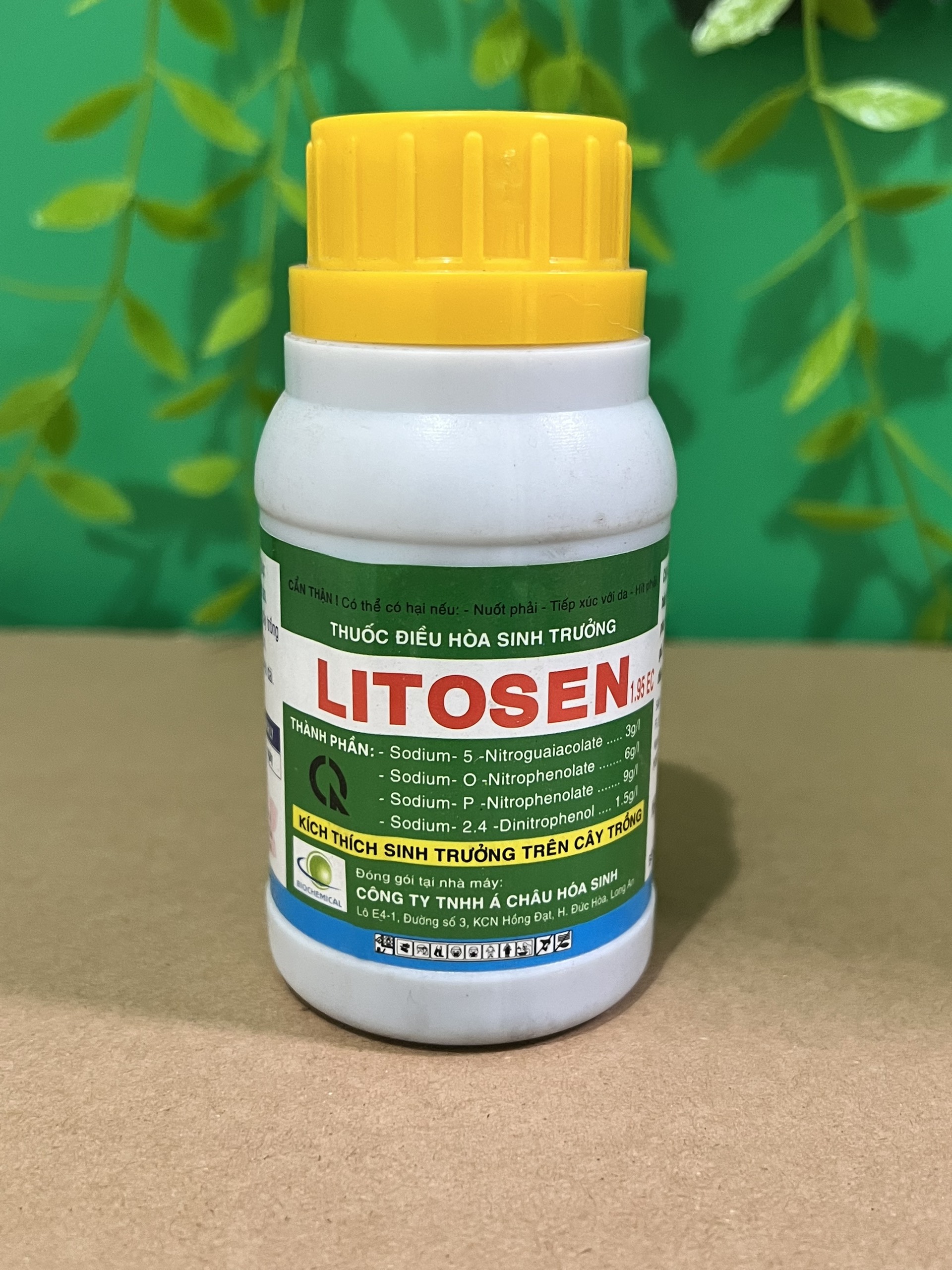 Litosen 1.9EC 100ml điều hòa sinh trưởng, kích thích đồng bộ rễ, mầm, chồi, lá