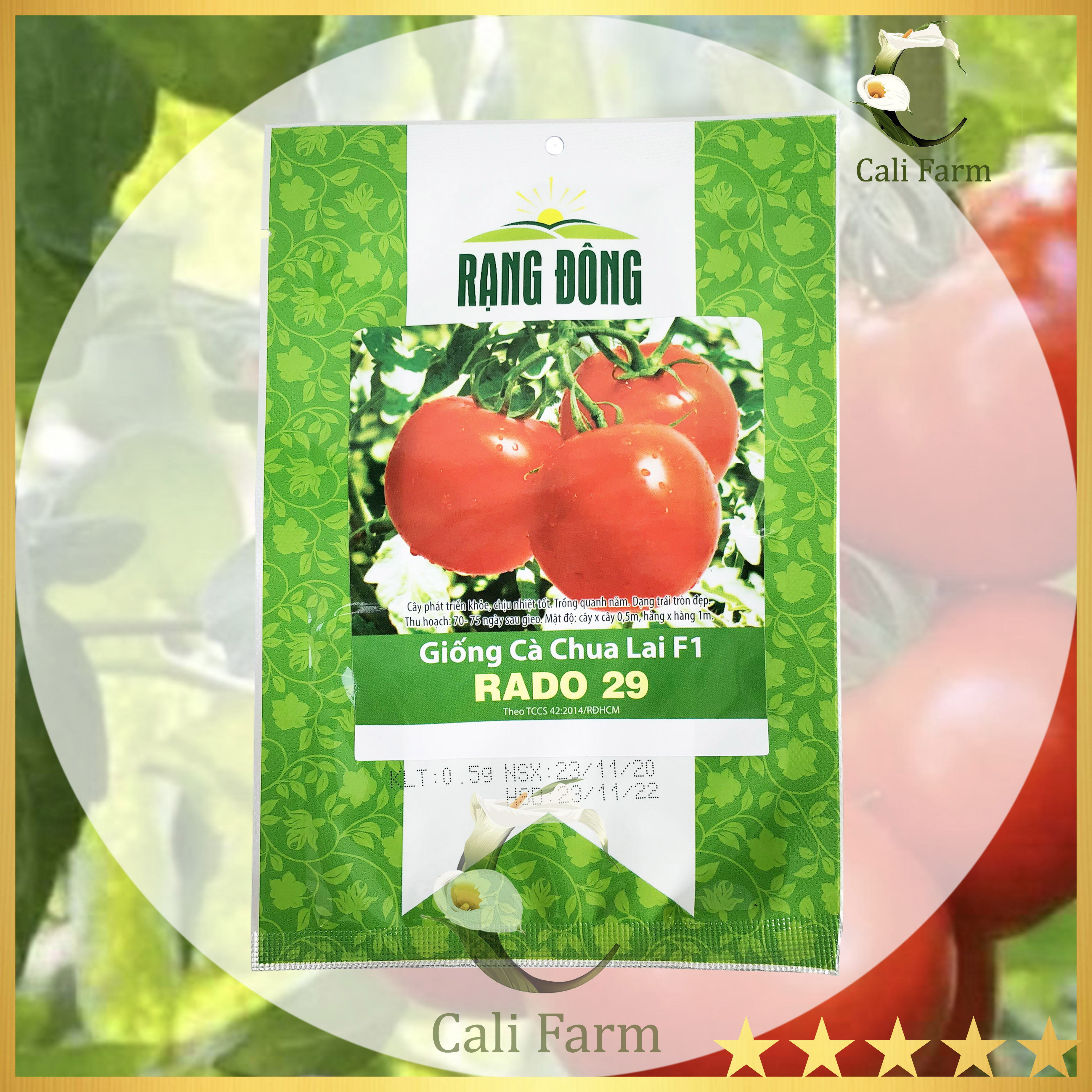 Hạt giống cà chua f1 rado 29 trái to đỏ năng suất cao