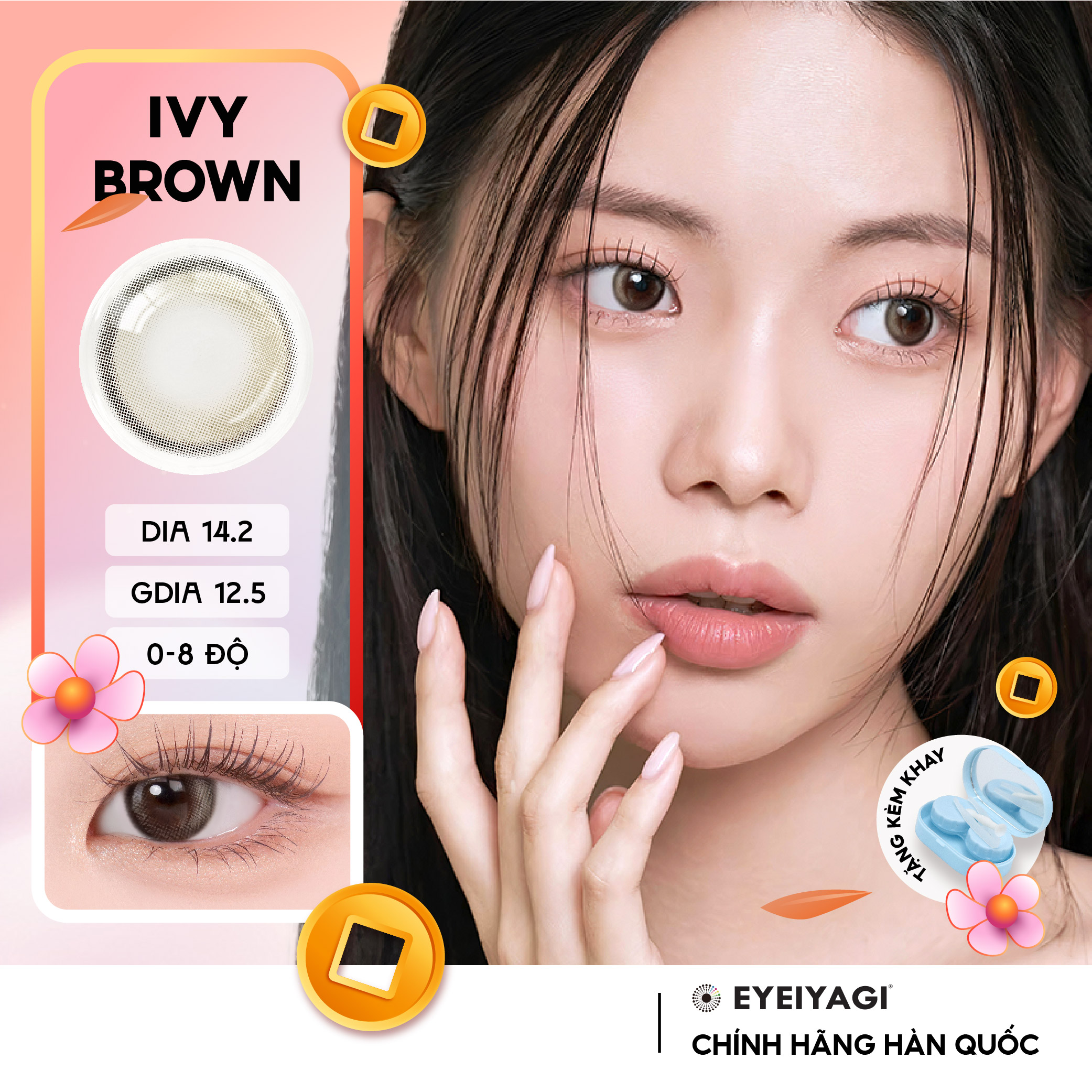 Kính áp tròng EYEIYAGI lens nâu trà đen Ivy Brown cận 3 tháng độ cận 0-8 DIA 14.2mm | Lens chính hãng Hàn Quốc