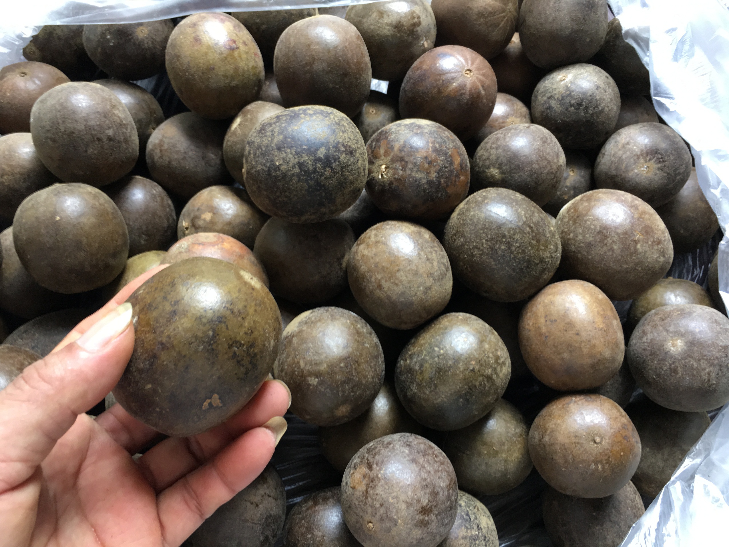 Trà Quả La Hán  Túi x 500g có Tặng Quà