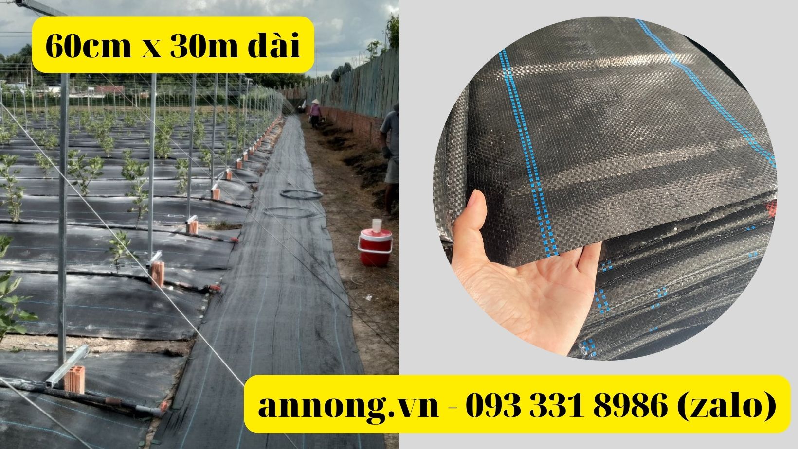 Bạt phủ luống chống cỏ 60cm x 30m dài 120g/m2