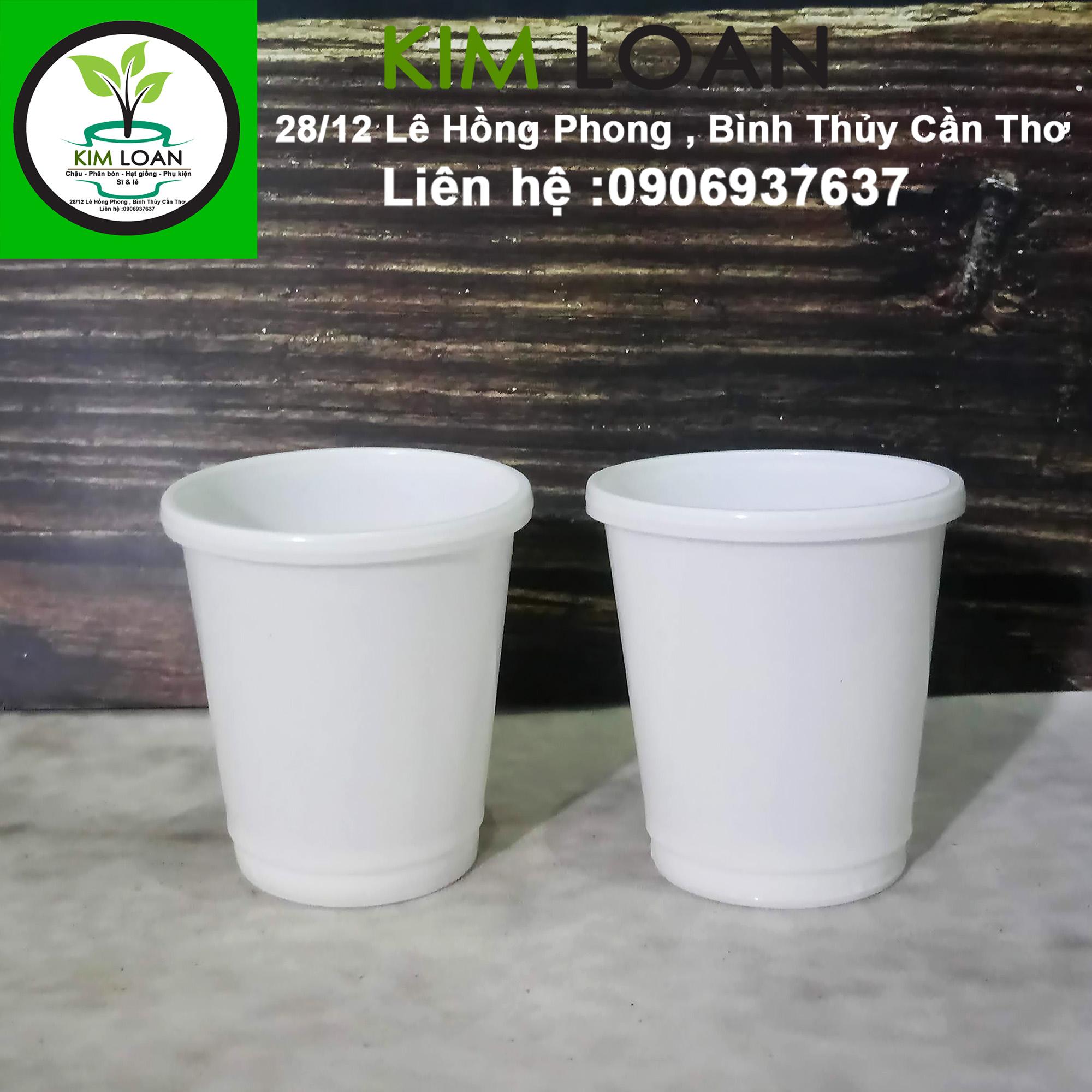 Combo 100 chậu nhựa tròn ươm cây 6x6cm