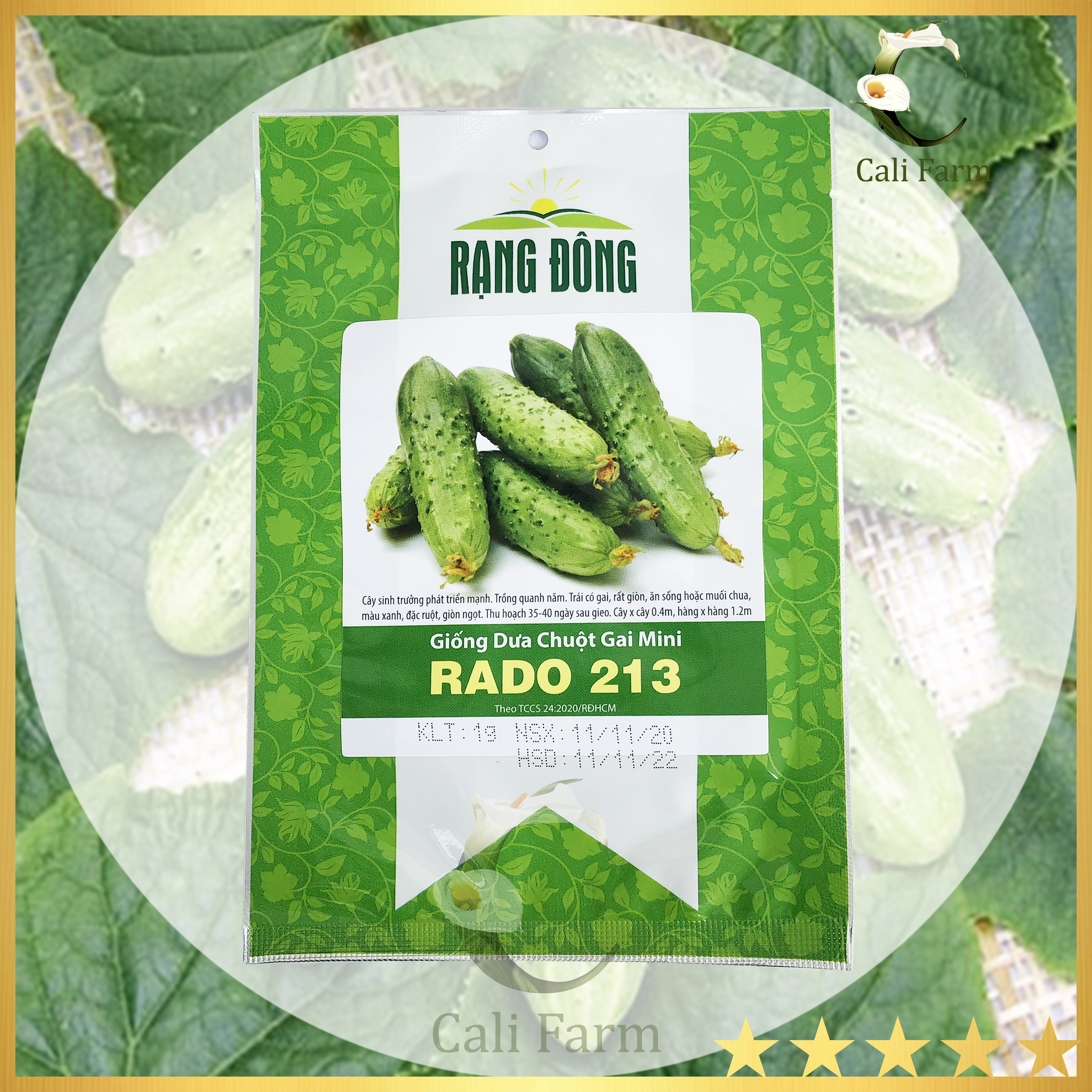 Hạt giống dưa chuột gai mini rado sai trái, năng suất cao