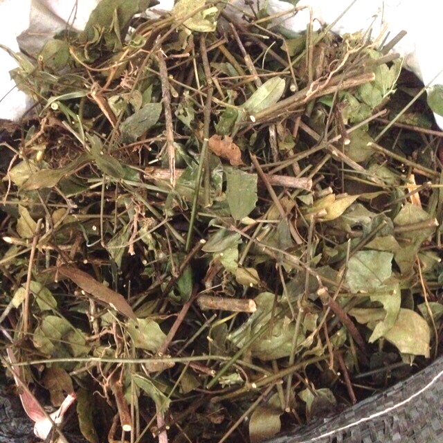 Chè vằng khô 1kg