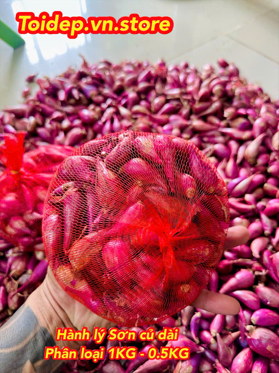 Siêu Rẻ, Hành Tím Lý Sơn Đặc Sản, Củ To,Thơm Nồng,Hàng Tuyển Chọn Kỹ Chuẩn Như Hình, Thơm Ngon Tự Nhiên