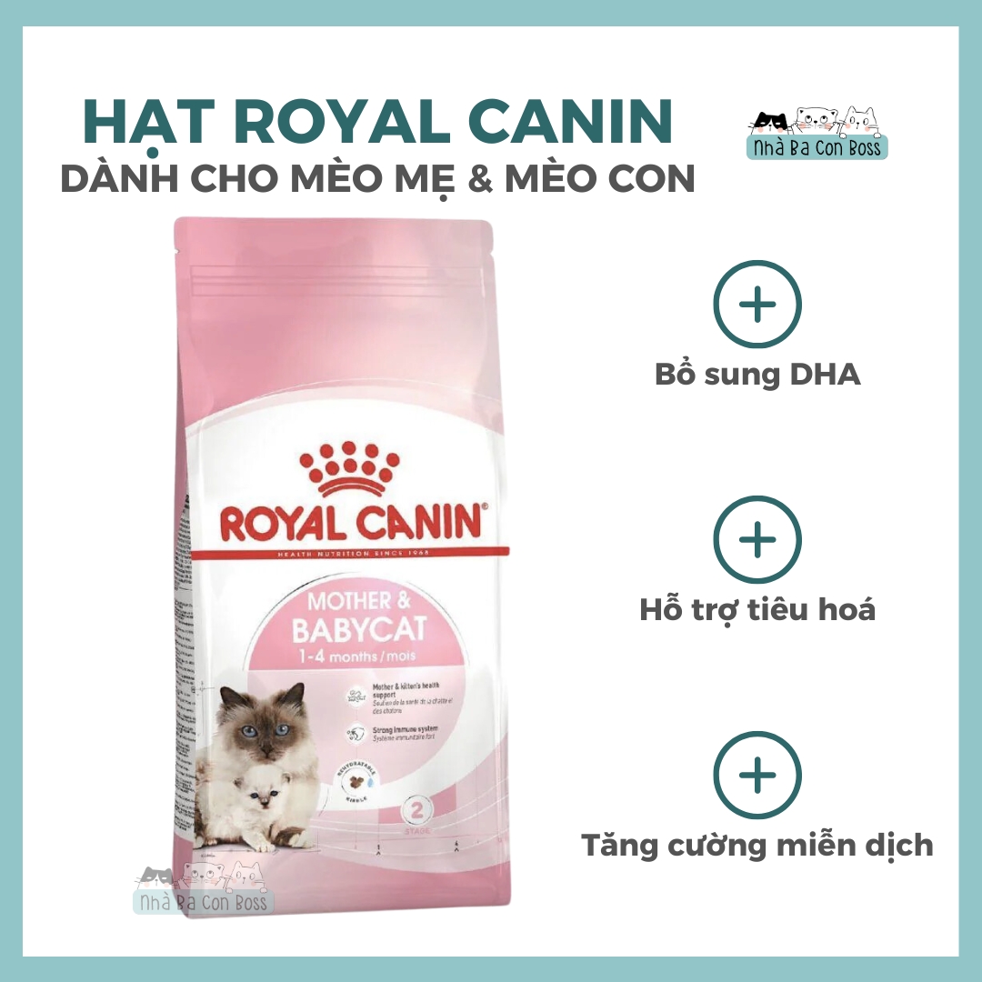 Hạt cho mèo royal canin mother & baby