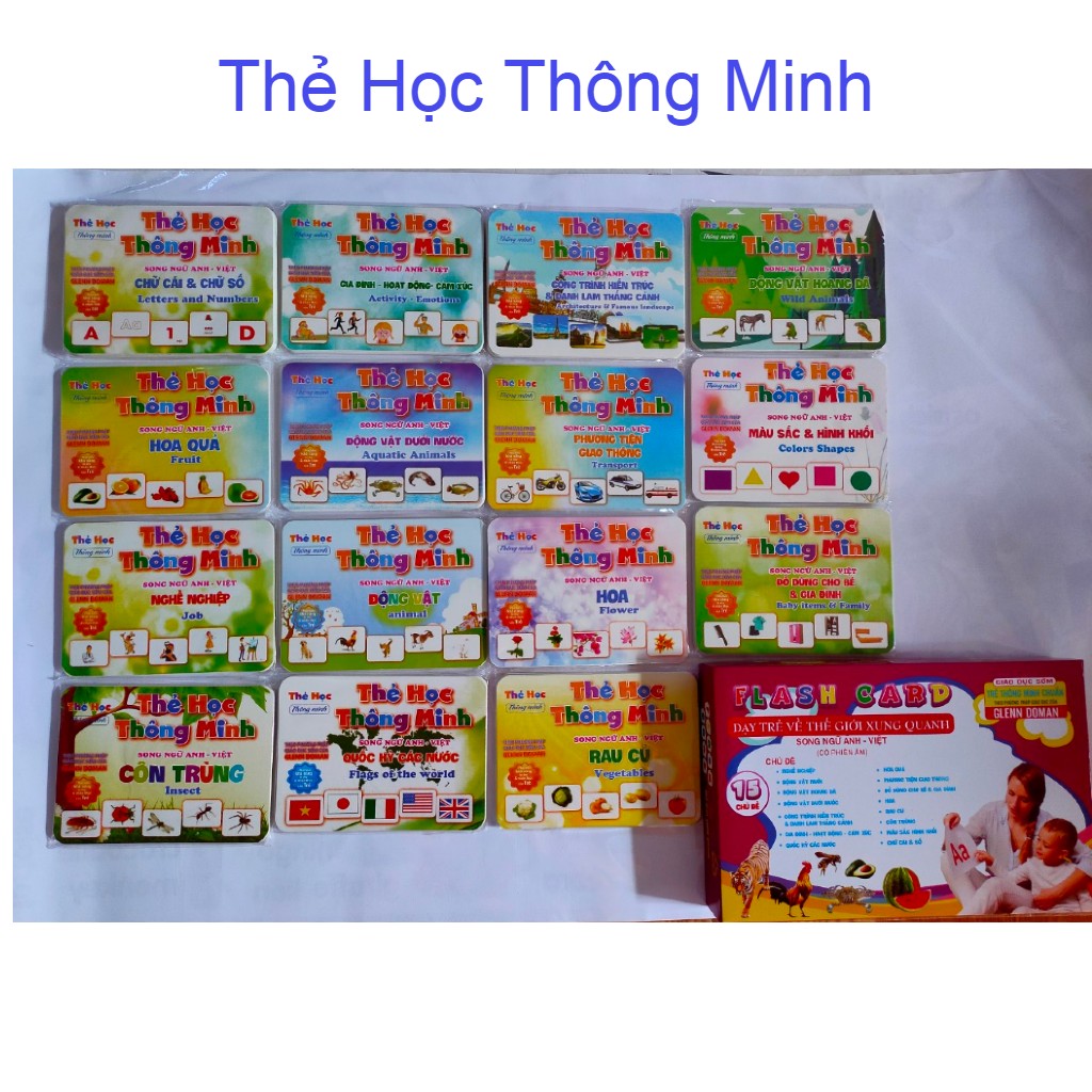 BỘ THẺ HỌC THÔNG MINH CHO BÉ 0-6 TUỔI VỀ THẾ GIỚI XUNG QUANH (Loại To)