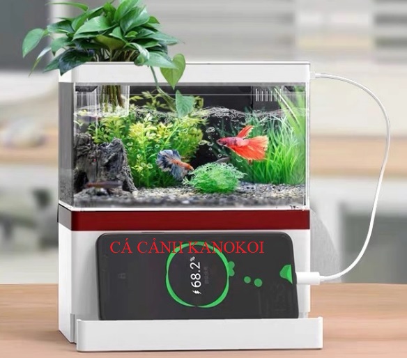 Bể cá công nghệ mới mini fish tank gebo m7, m9 phụ kiện đầy đủ