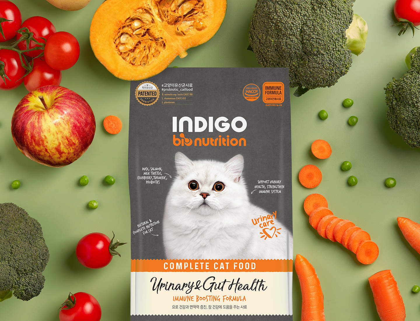 Thức ăn đặc trị sỏi thận trên mèo Indigo Urinary & Gut Health  Hàn Quốc -