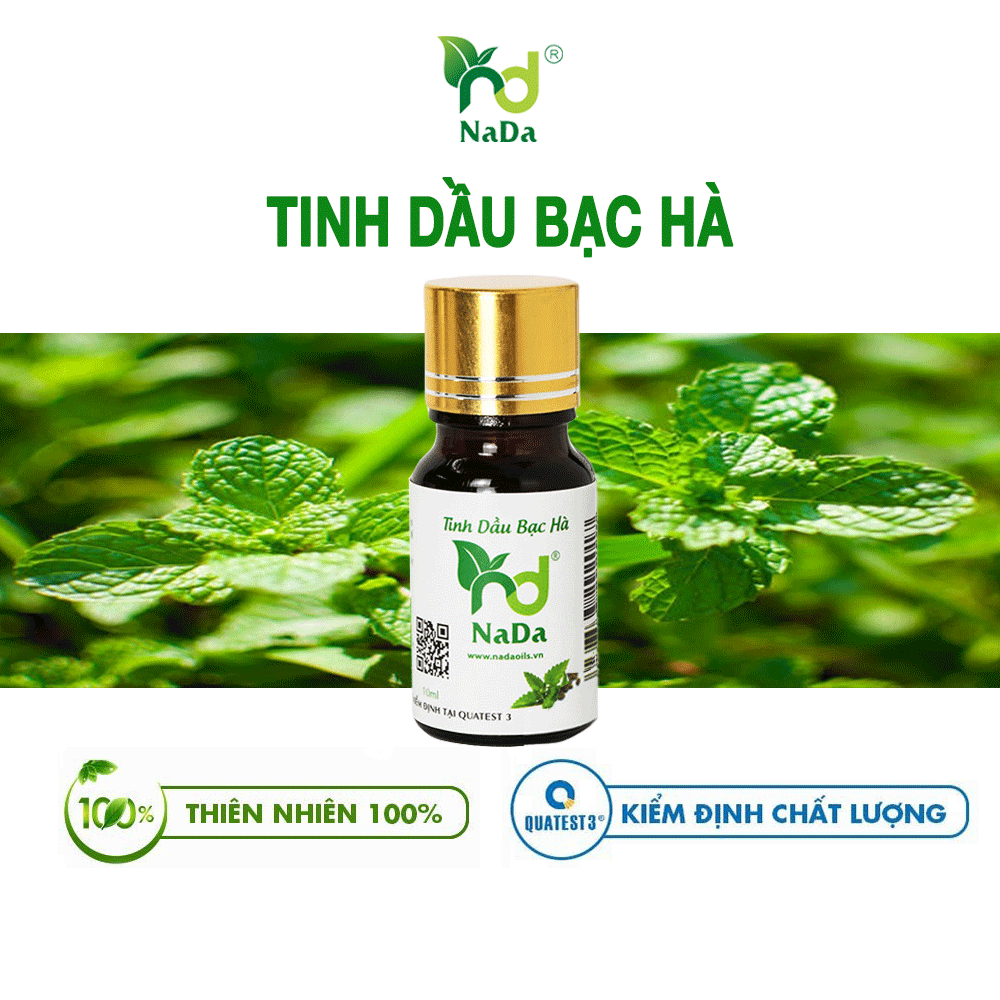 Tinh dầu Bạc Hà nguyên chất Nada Oils | Kiểm định QT3 | Khử mùi, tăng sự tập trung, thư giãn tinh thần