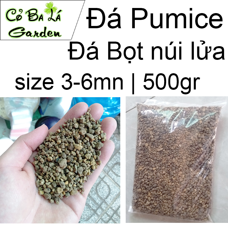 Đá Pumice-Đá Bọt núi lửa