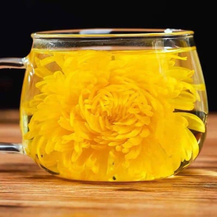 Hộp trà hoa cúc hoàng kim