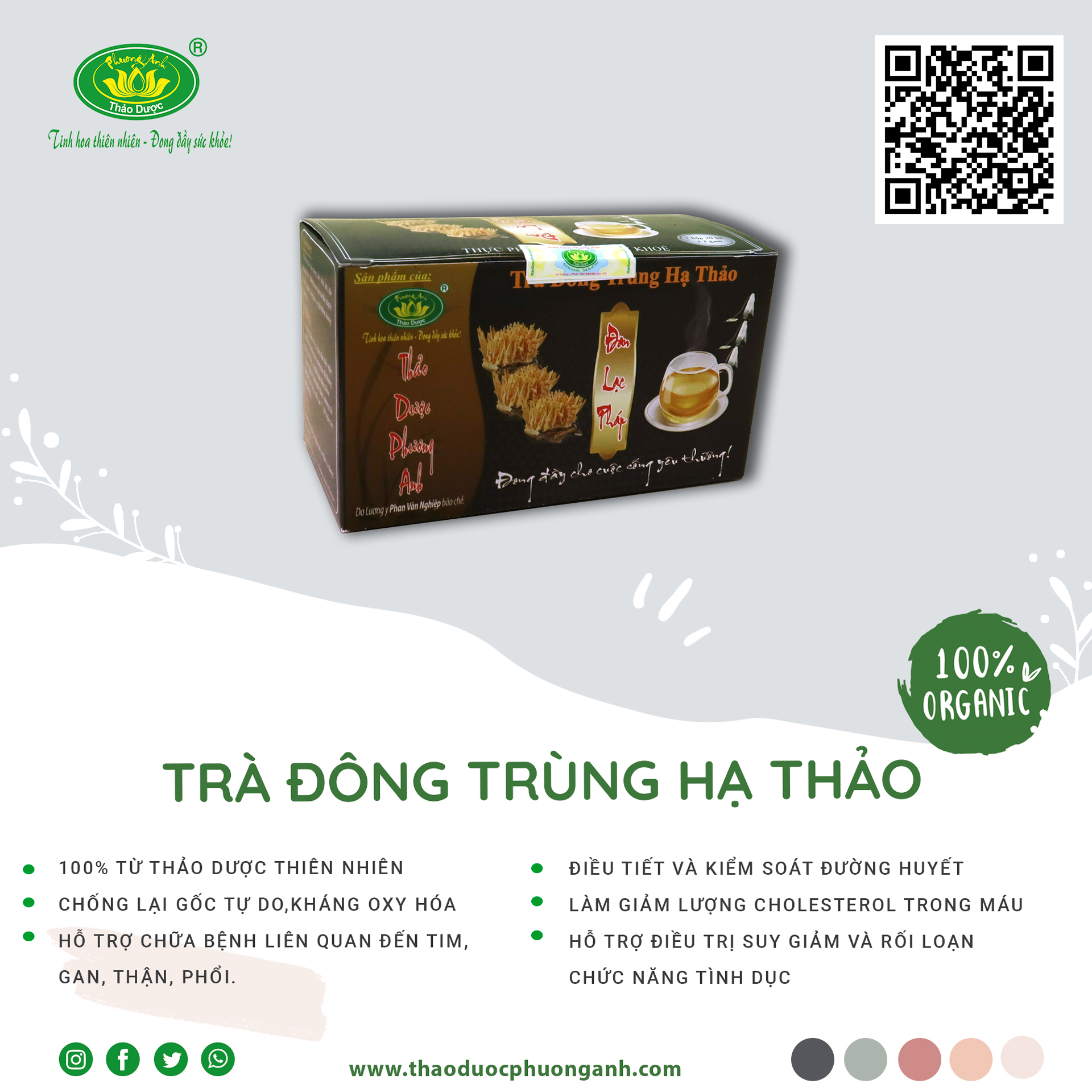 Trà đông trùng hạ thảo túi lọc