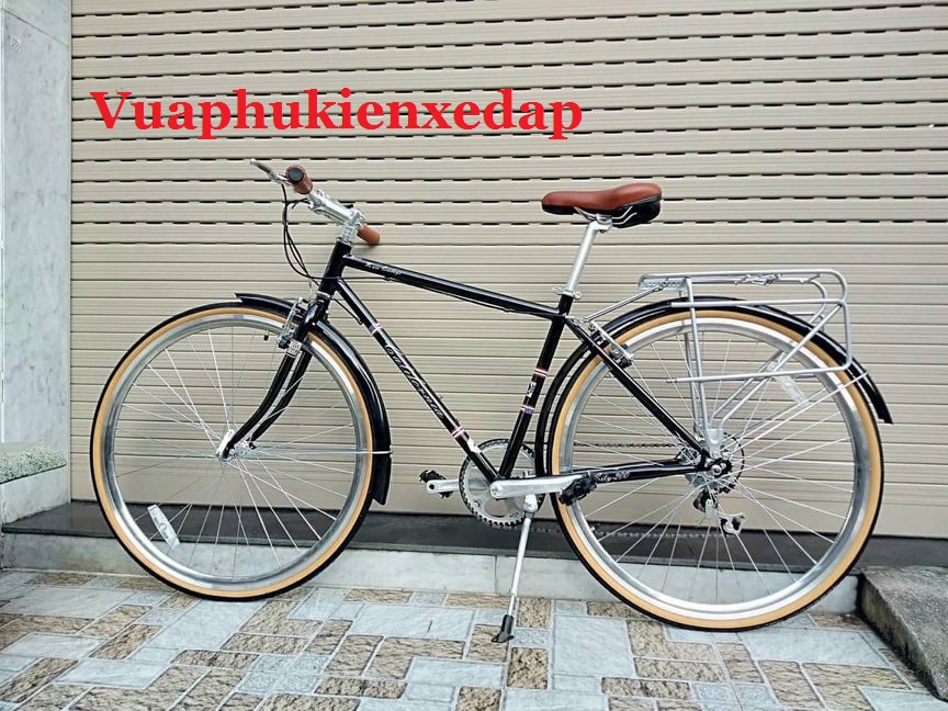 Xe đạp thể thao California City200